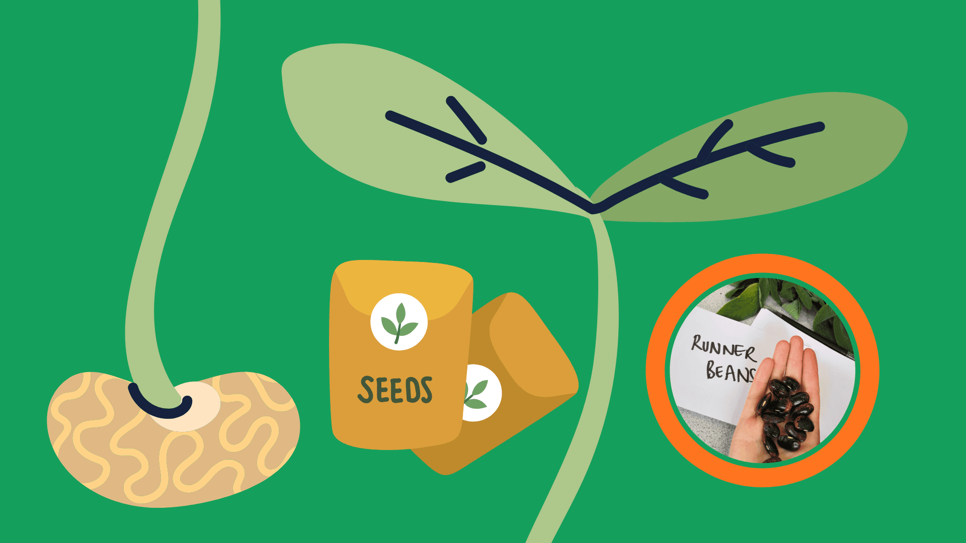 Southmead Seed Swap